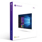 Windows 10 Professional OEM Digital License