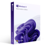 Windows 11 Professional Workstation Digital License